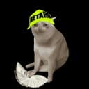 Cash Cats